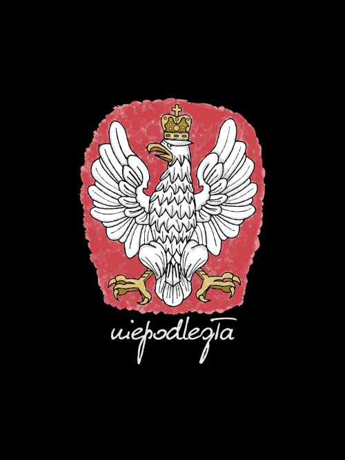Bluza z kapturem - stylizowane godło polski 1918-2018