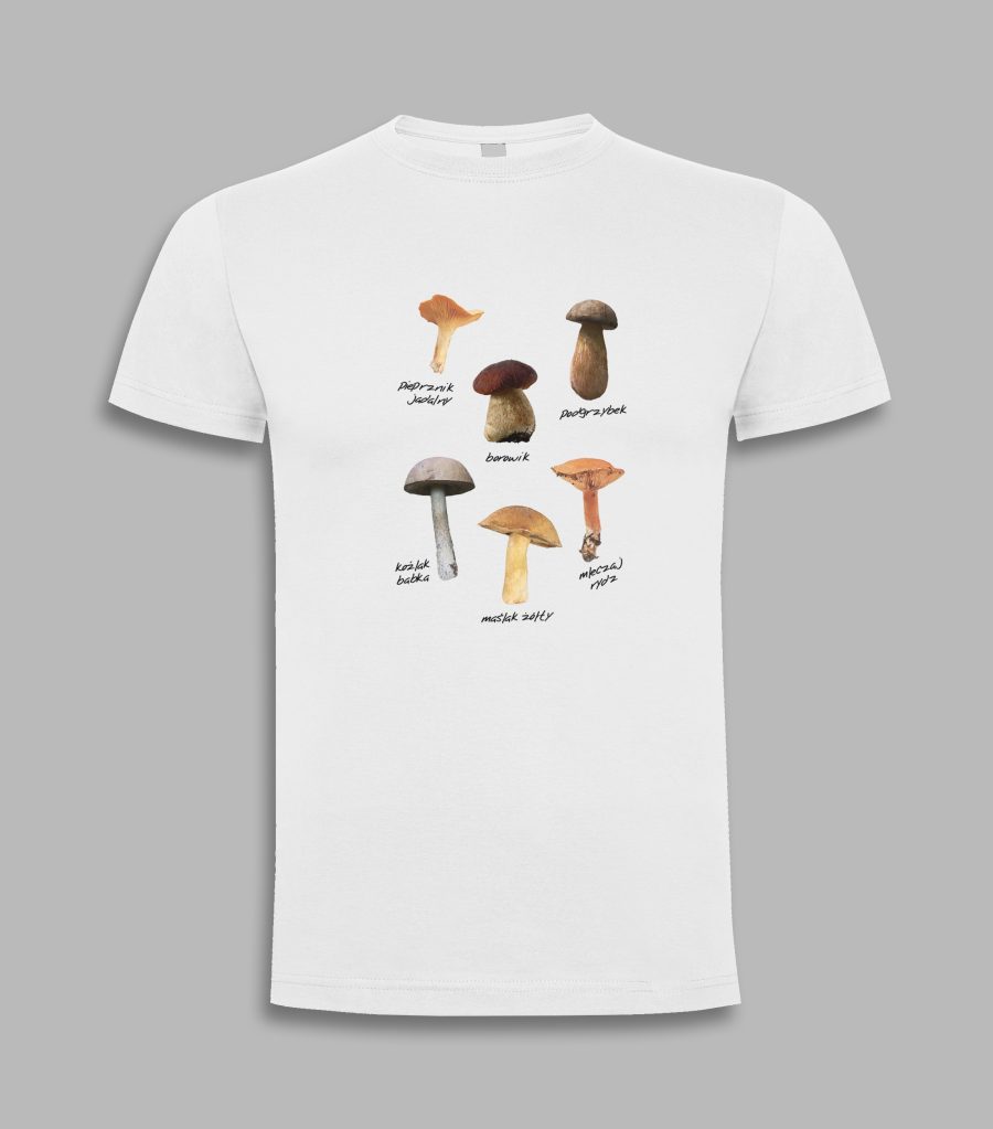 Koszulka męska - grzyby polskie