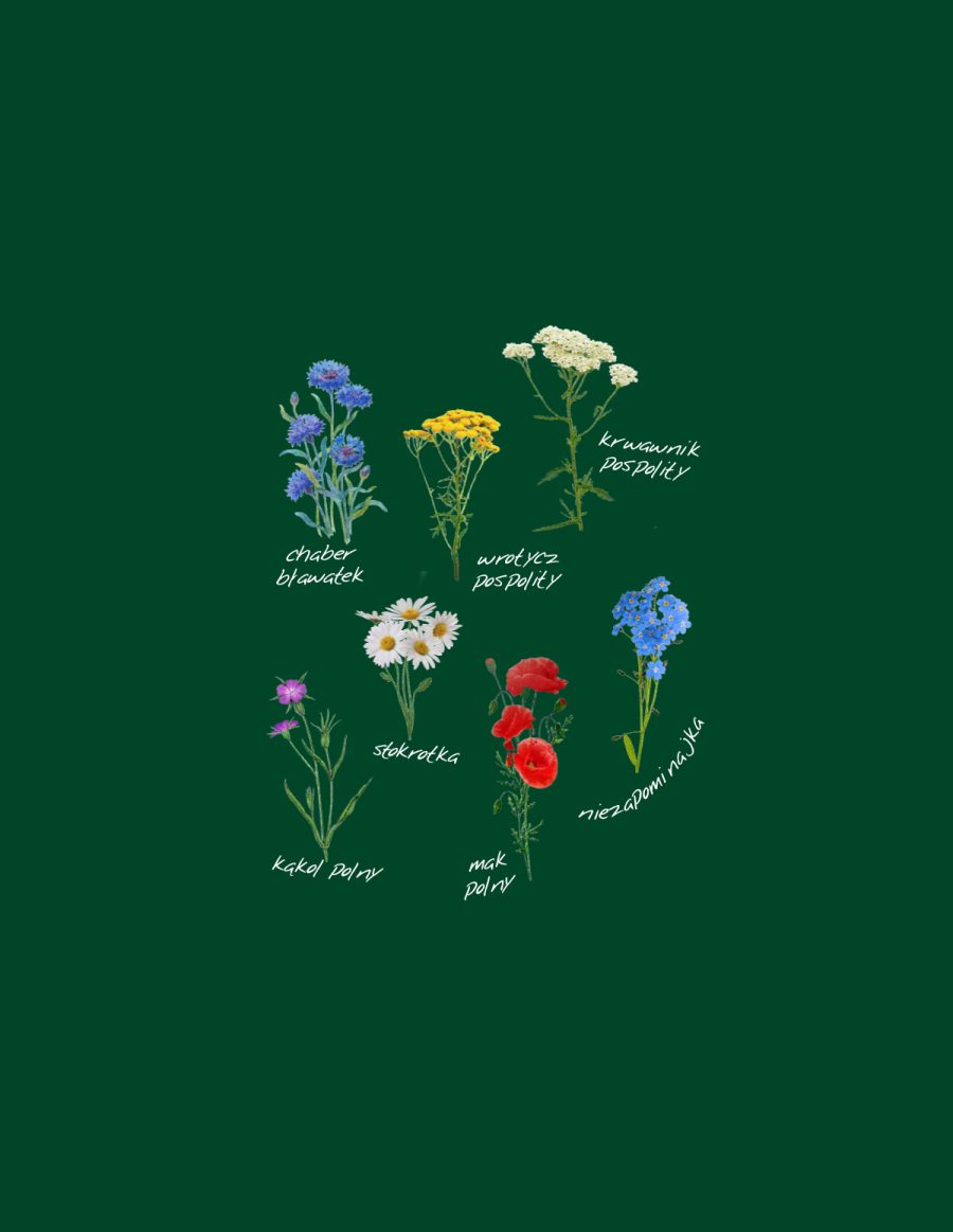 Bluza z kapturem - polskie kwiaty polne