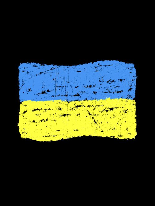 Bluza rozpinana z kapturem - ukraina flaga