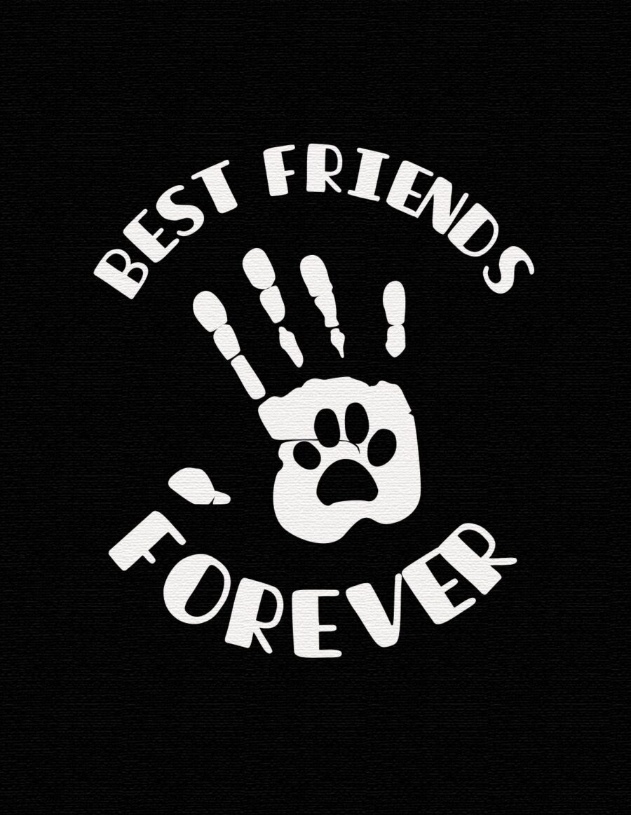 Koszulka damska - best friends forever