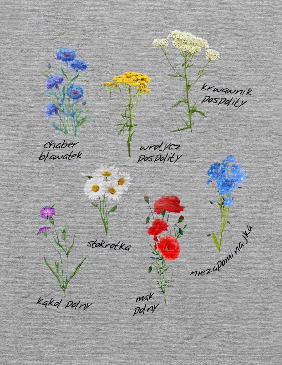 Koszulka damska - kwiaty polne