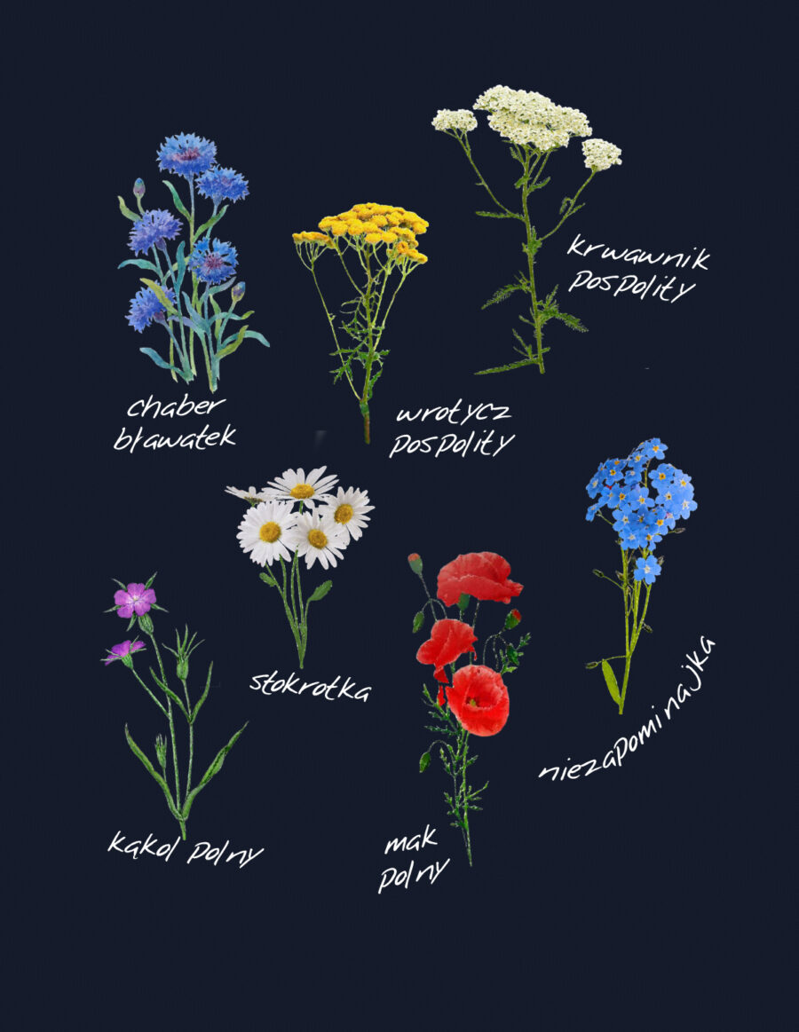 Damska bluza z kapturem – kwiaty polne