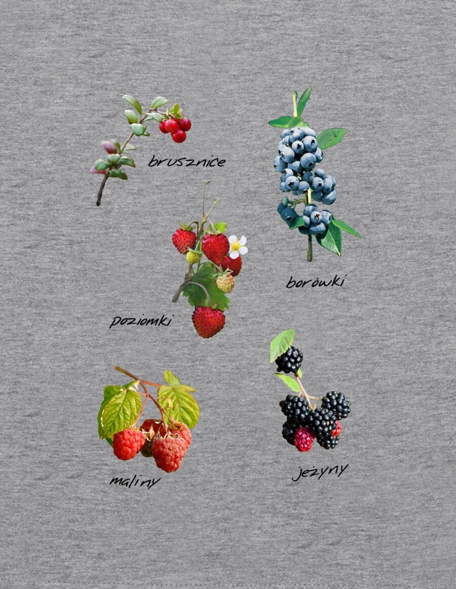 Damska bluza z kapturem – owoce leśne