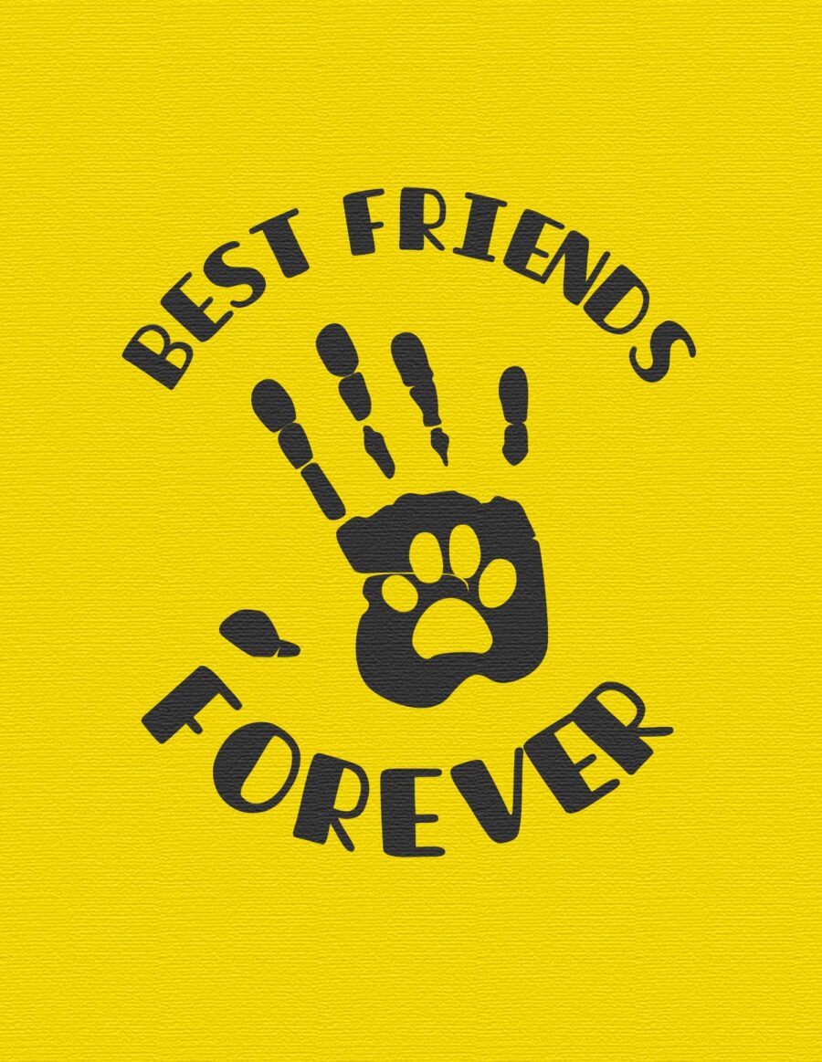 Koszulka męska - best friends forever