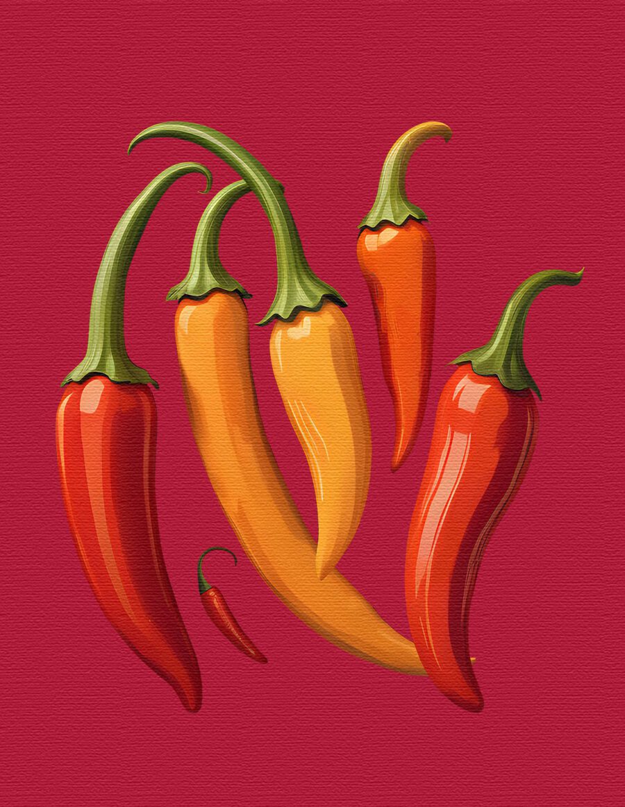 Fartuch kucharski - papryczki chili